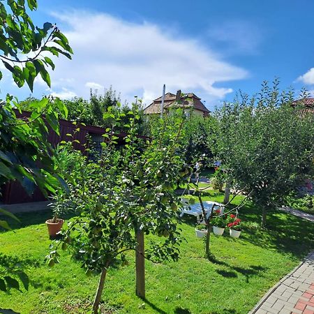 Casa Dina Apartment Turda Exterior foto