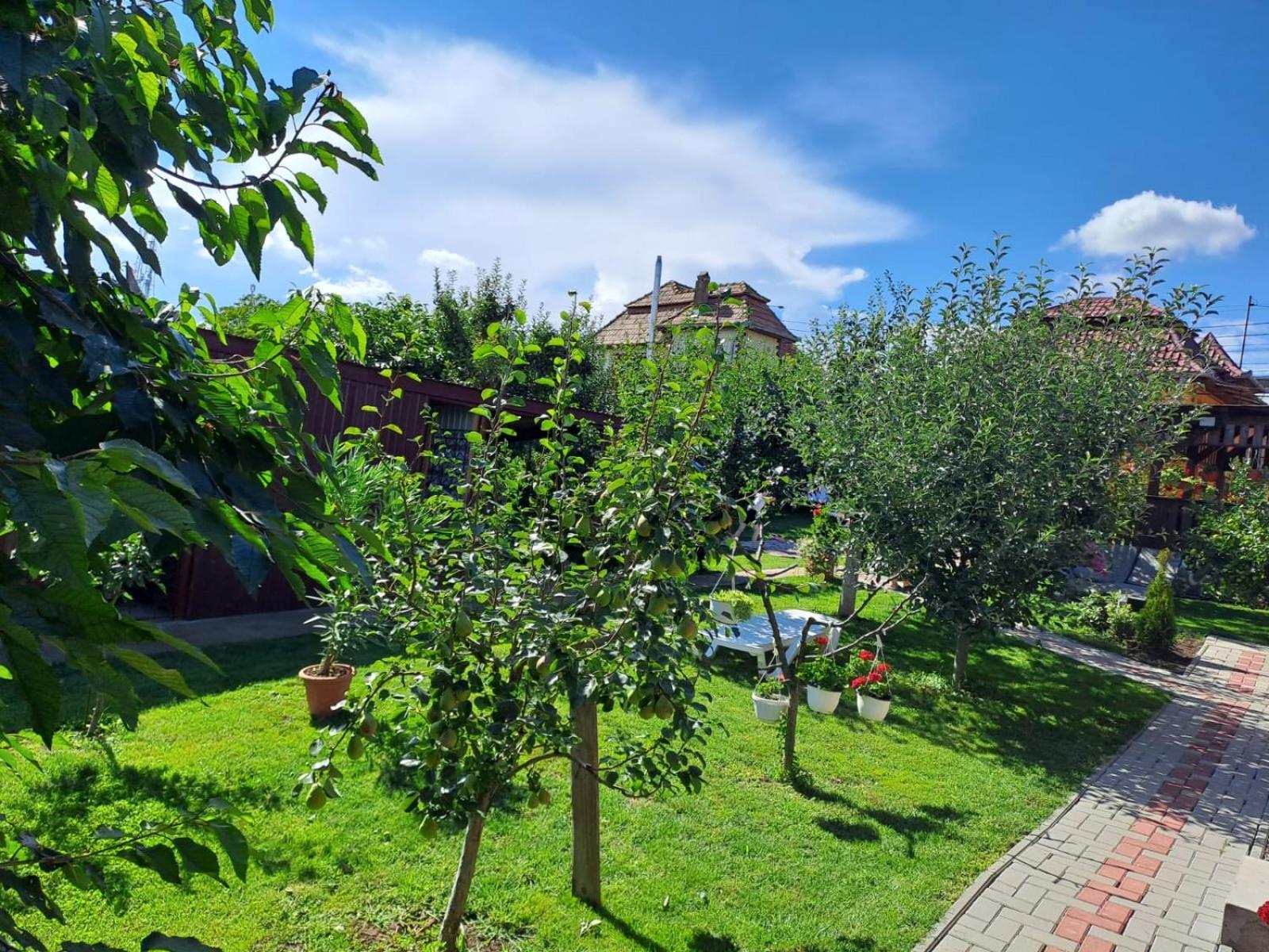 Casa Dina Apartment Turda Exterior foto