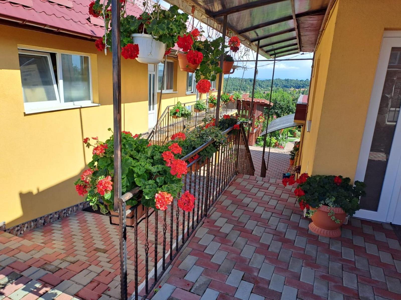 Casa Dina Apartment Turda Exterior foto